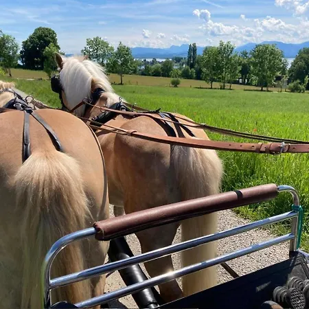 Kalbhof Farm stay *