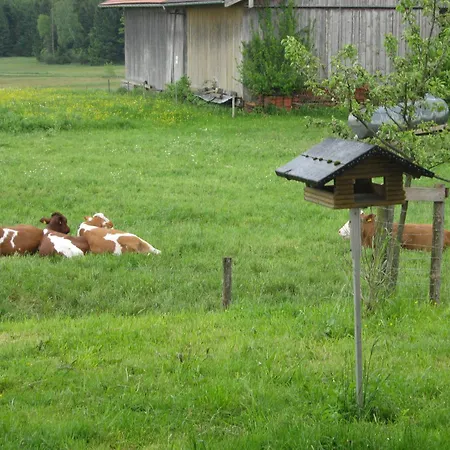 Kalbhof Farm stay *